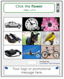 Image-Based CAPTCHA Alternative